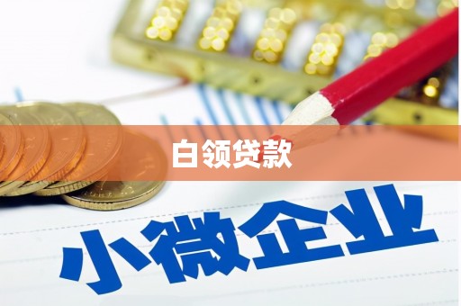 莎车白领贷款
