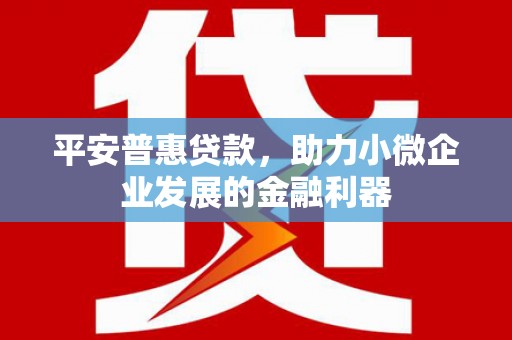 莎车平安普惠贷款，助力小微企业发展的金融利器