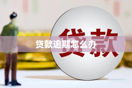 莎车贷款逾期怎么办