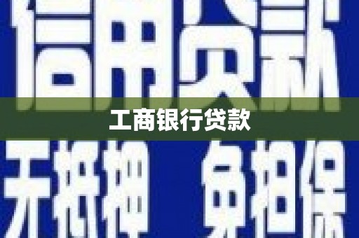 莎车工商银行贷款