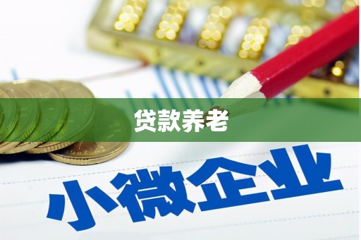 莎车贷款养老