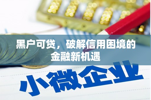 莎车黑户可贷，破解信用困境的金融新机遇