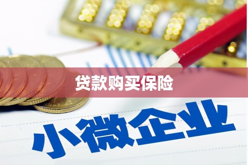 莎车贷款购买保险