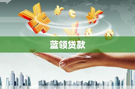 莎车蓝领贷款
