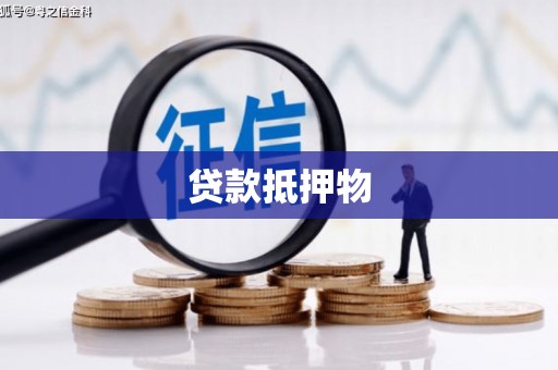 莎车贷款抵押物