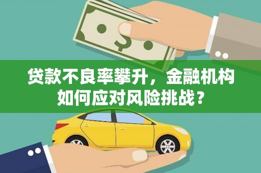 莎车贷款不良率攀升，金融机构如何应对风险挑战？