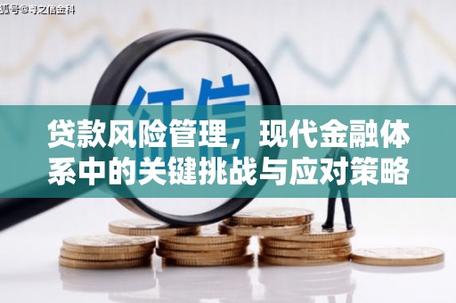 莎车贷款风险管理，现代金融体系中的关键挑战与应对策略