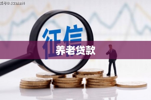 莎车养老贷款