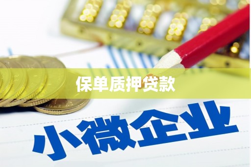 莎车保单质押贷款