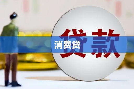 莎车消费贷