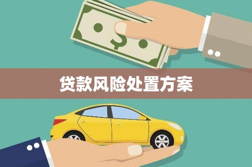 莎车贷款风险处置方案
