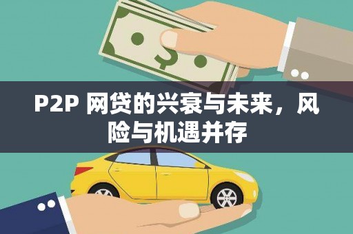 莎车P2P 网贷的兴衰与未来，风险与机遇并存