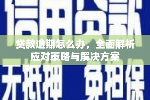 莎车贷款逾期怎么办，全面解析应对策略与解决方案