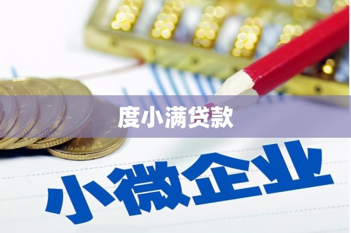 莎车度小满贷款