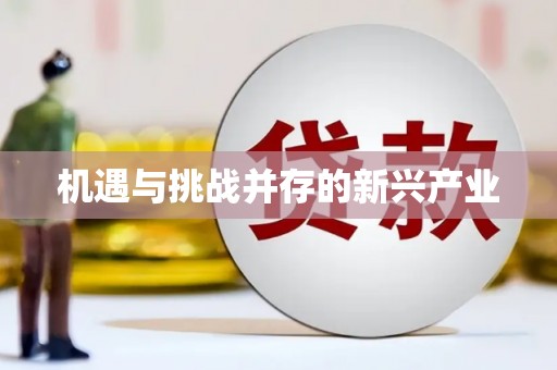 莎车机遇与挑战并存的新兴产业