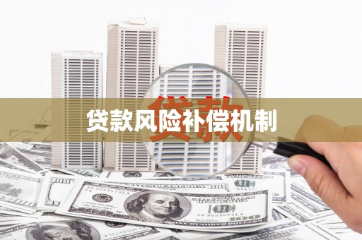 莎车贷款风险补偿机制