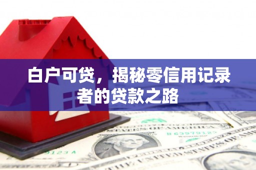 莎车白户可贷，揭秘零信用记录者的贷款之路