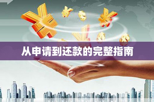 莎车从申请到还款的完整指南