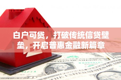 莎车白户可贷，打破传统信贷壁垒，开启普惠金融新篇章