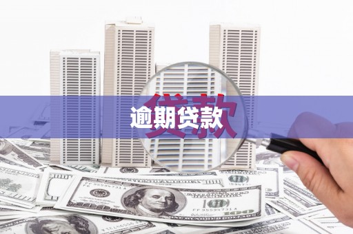 莎车逾期贷款