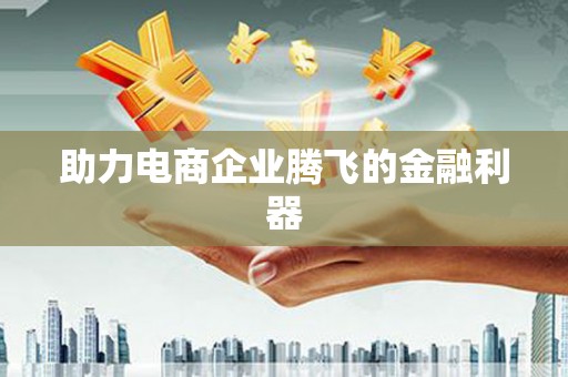 莎车助力电商企业腾飞的金融利器