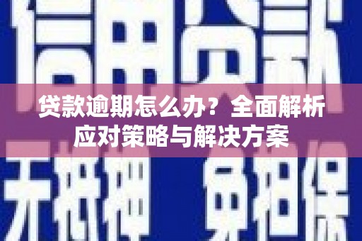 莎车贷款逾期怎么办？全面解析应对策略与解决方案