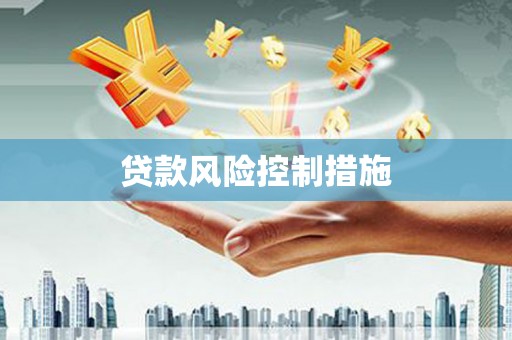 莎车贷款风险控制措施