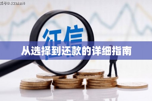 莎车从选择到还款的详细指南