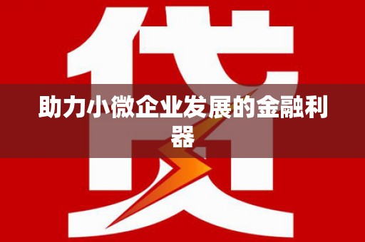 莎车助力小微企业发展的金融利器