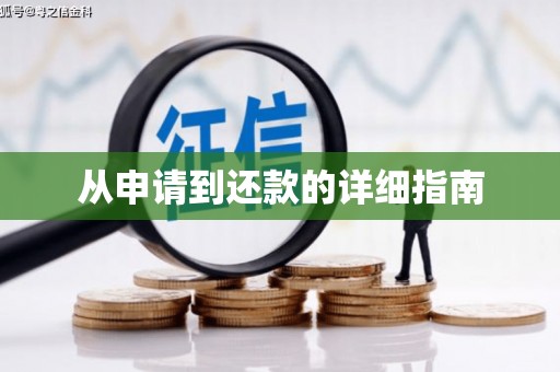 莎车从申请到还款的详细指南