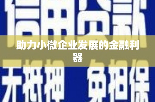 莎车助力小微企业发展的金融利器