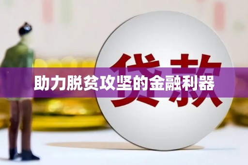 莎车助力脱贫攻坚的金融利器