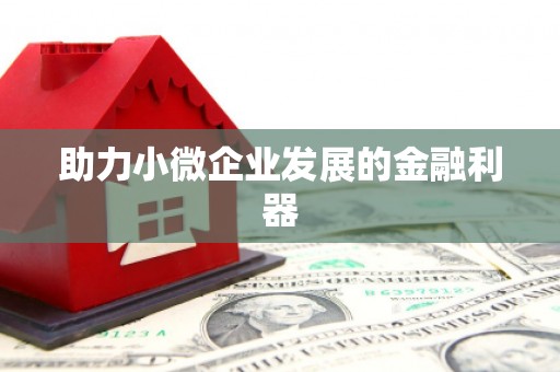 莎车助力小微企业发展的金融利器