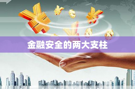 莎车金融安全的两大支柱