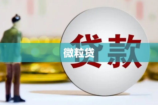 莎车微粒贷