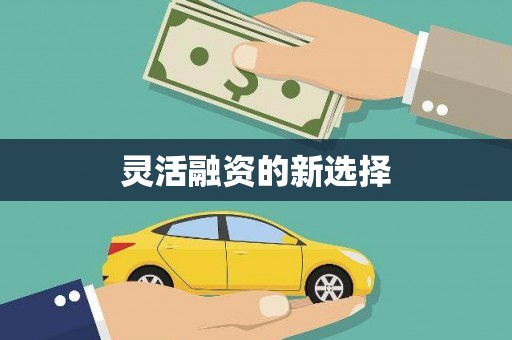 莎车灵活融资的新选择