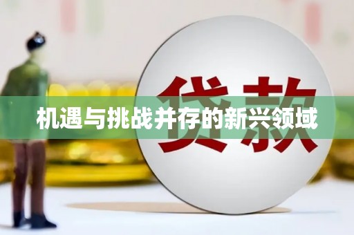 莎车机遇与挑战并存的新兴领域