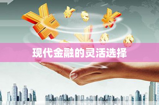 莎车现代金融的灵活选择