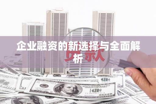 莎车企业融资的新选择与全面解析