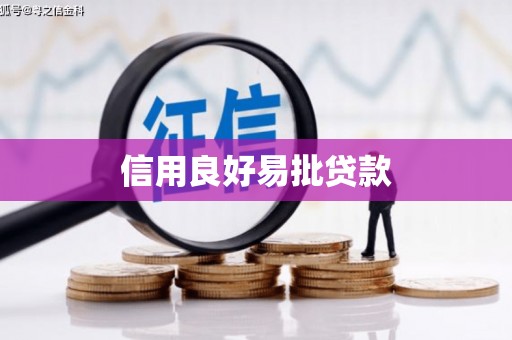 莎车信用良好易批贷款