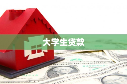 莎车大学生贷款