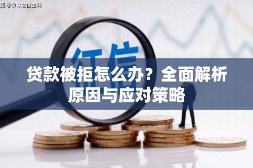 莎车贷款被拒怎么办？全面解析原因与应对策略