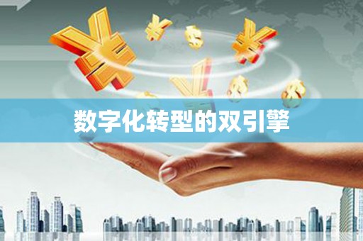 莎车数字化转型的双引擎