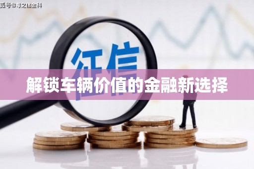 莎车解锁车辆价值的金融新选择