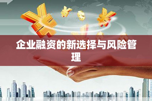 莎车企业融资的新选择与风险管理