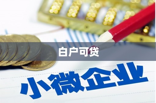 莎车白户可贷