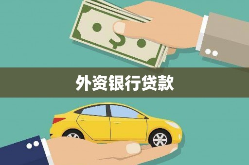 莎车外资银行贷款