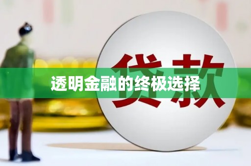 莎车透明金融的终极选择