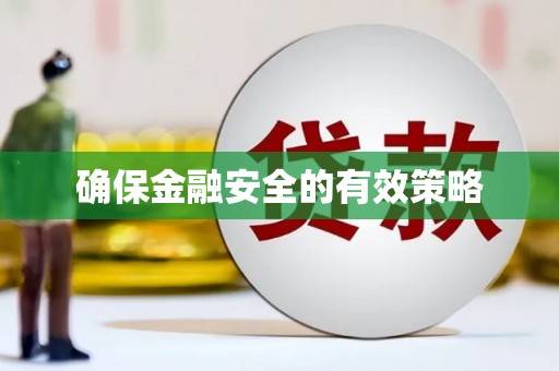 莎车确保金融安全的有效策略