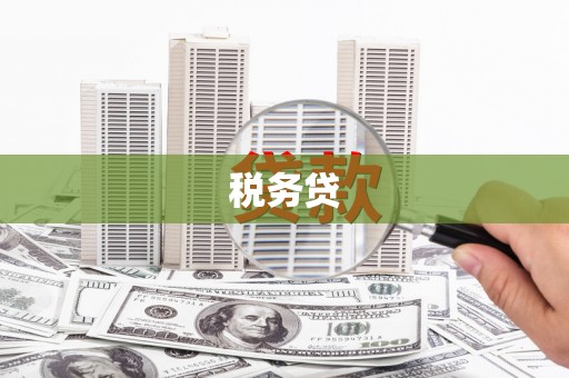 莎车税务贷